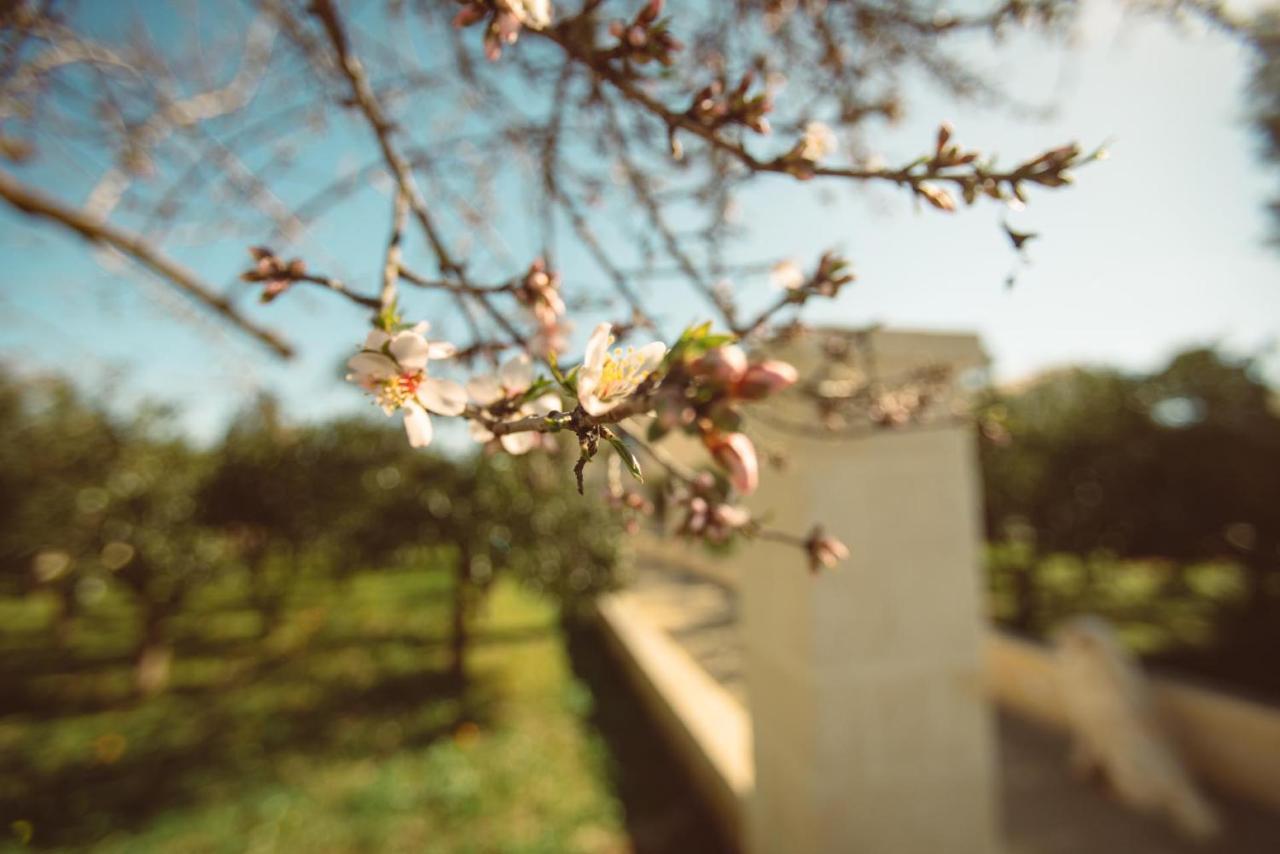 Masseria Gagliardi Taranto Esterno foto